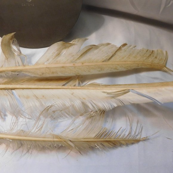 Antique STIEFF PEWTER WILLIAMSBURG 3 HOLE INK WELL WITH 3 FEATHER QUILLS - Picture 8 of 9